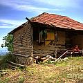 Abandoned farmhouse