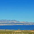 Horizon's Embrace Lake Mead Panorama